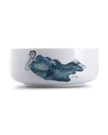 SALAD BOWL - indigo girl