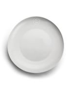 DINNER PLATE - swirl