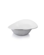 SALAD BOWL - lily