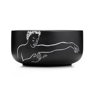 SALAD BOWL - within reach