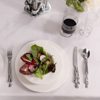 DINNERWARE 12pc SET - discussion