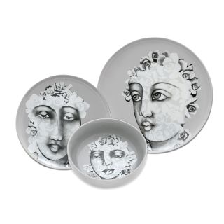 DINNERWARE 12pc SET - succulent faces